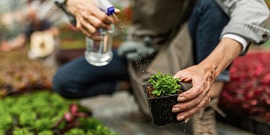 Ekologiczne metody nawożenia ogrodu: Naturalne i skuteczne-3386